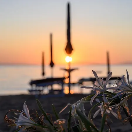 Semesteranläggning (resort) Le Acacie Capoliveri (Isola d'Elba)
